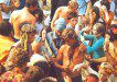 Hippie Organisation