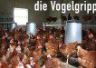 vogelgrippe