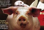 Fortean Times - Die freundlichen Skeptiker