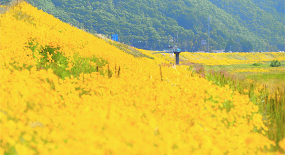 Yellowworld - Tief in der Krise